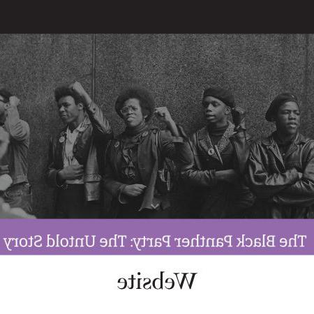 Labeled 'Website.' Screenshot of a website with the title 'The Black Panther Party The Untold Story.' Above the text is a black and white photo of several Black people standing in a row wearing leather jackets and pins, several are raising their fists in the air.