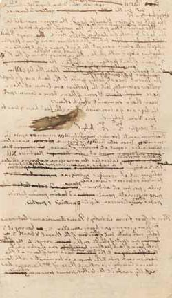 利记APP官网手机版鸟类的笔记，由托马斯·杰斐逊编著 